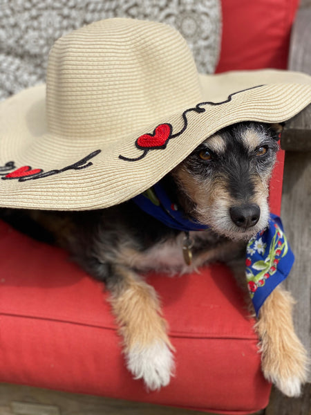 R❤️CK ❤️N Floppy Hat